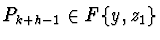 $P_{k+h-1} \in F\{ y,z_{1} \}$