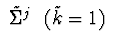 $\ \tilde{\Sigma }^{j}\ \ (\tilde{k} = 1)\ $