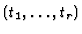 $(t_{1},\ldots,t_{r})$